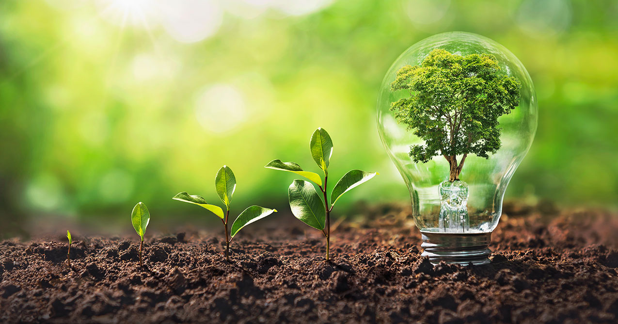 Écologie & Développement Durable